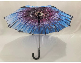 Парасоля тростина 10 спиць опт