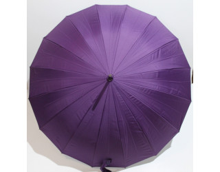 Парасоля тростина з внутрішнім малюнком