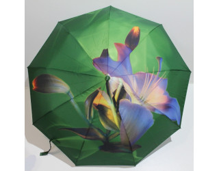 Парасолька жіноча, автомат
