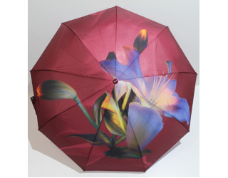 Парасолька жіноча, автомат