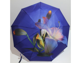 Парасолька жіноча, автомат