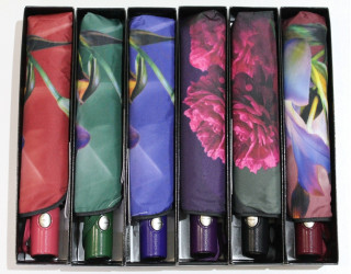 Парасолька жіноча, автоматична опт