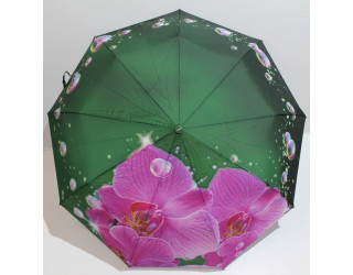 Парасолька жіноча, автомат