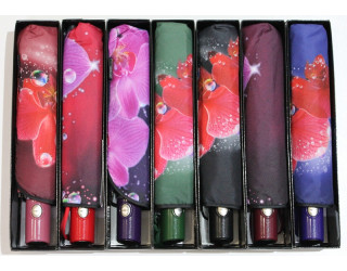 Парасолька жіноча, автоматична опт