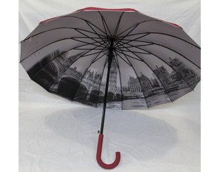 Парасоля тростина з внутрішнім малюнком