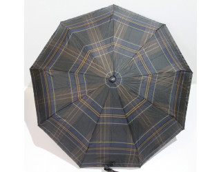 Парасолька  автомат, клітинка