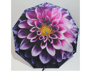 Жіноча парасолька напівавтомат в 3 складання