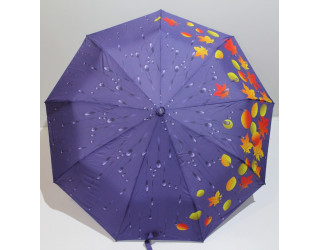 Автоматична парасоля