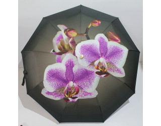 Парасолька жіноча, автоматична