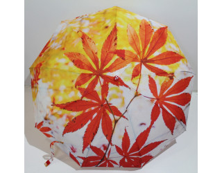 Жіноча парасолька автомат